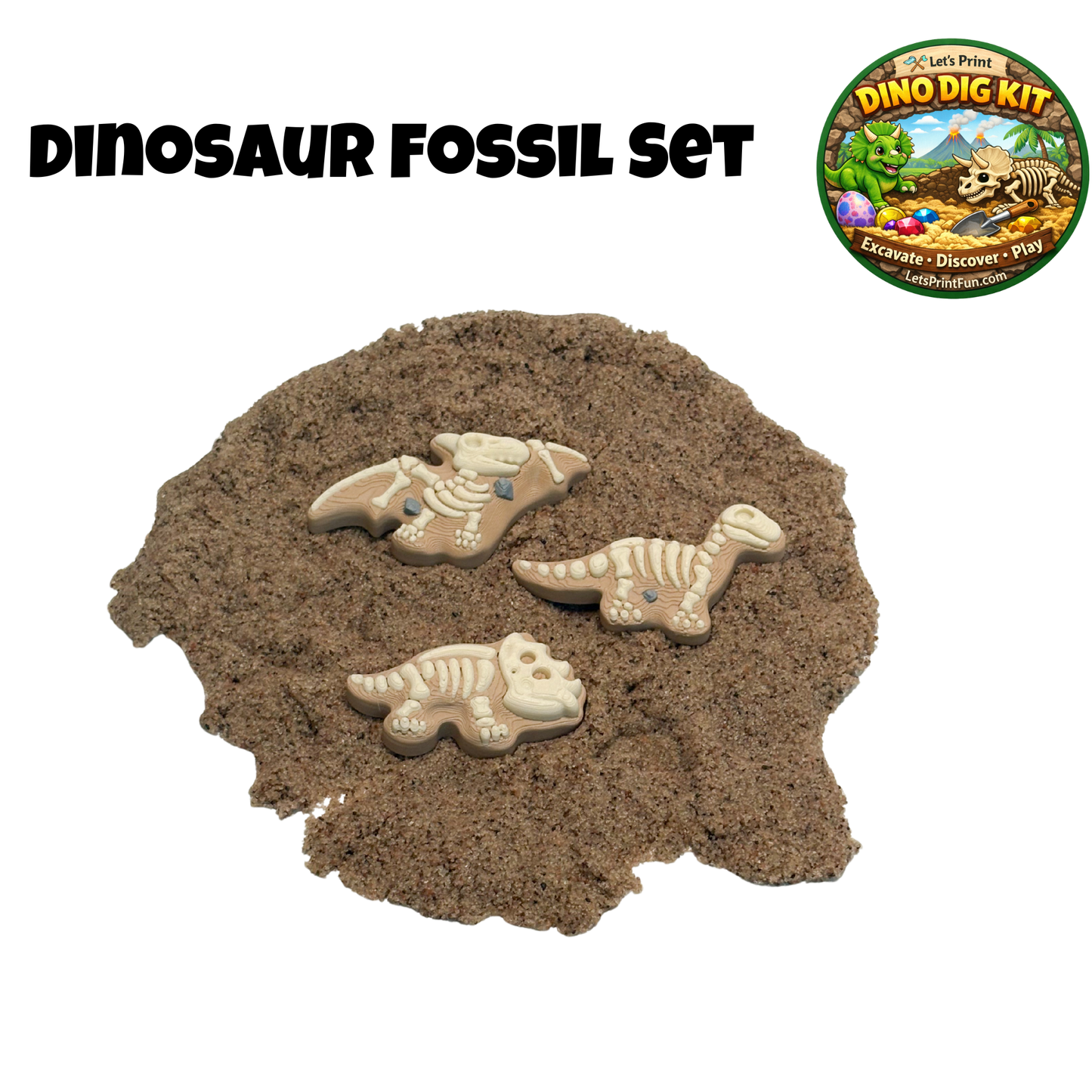 Fossil Discovery Pack – Set of 3