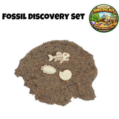 Fossil Discovery Pack – Set of 3