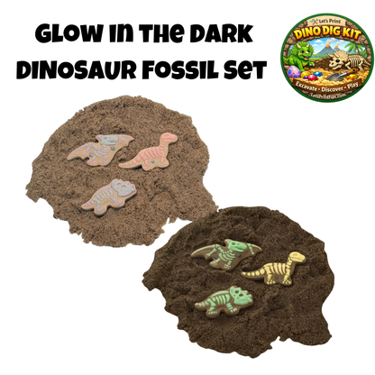 Fossil Discovery Pack – Set of 3
