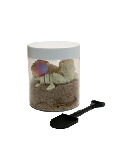 Dinosaur Dig Kit