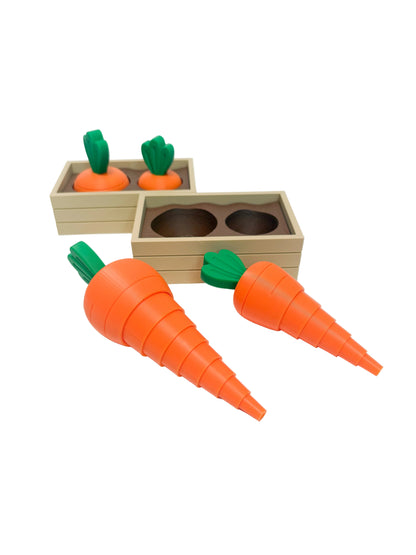 Carrot Fidget Set in Planter Bed