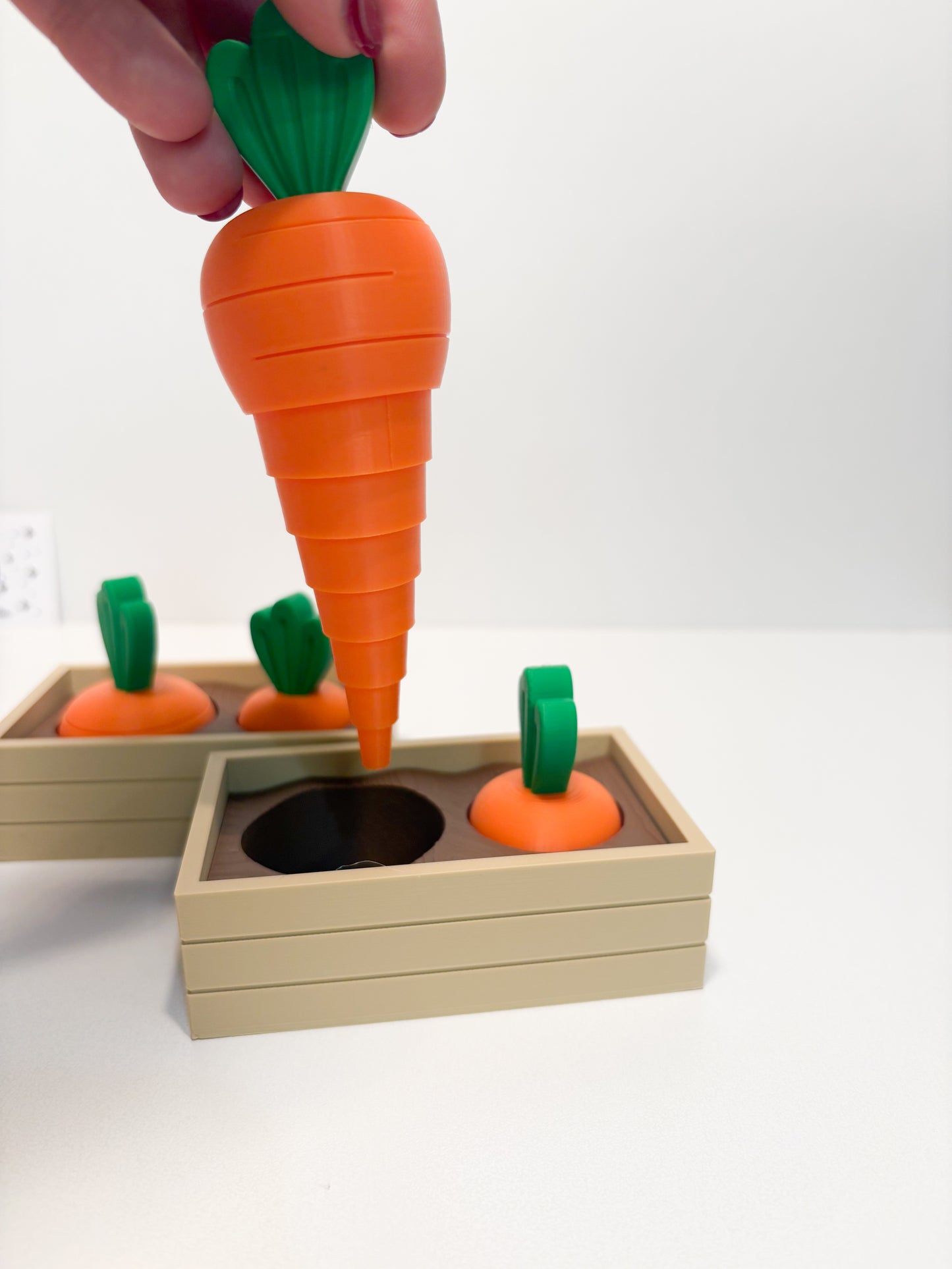 Carrot Fidget Set in Planter Bed