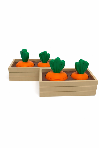 Carrot Fidget Set in Planter Bed