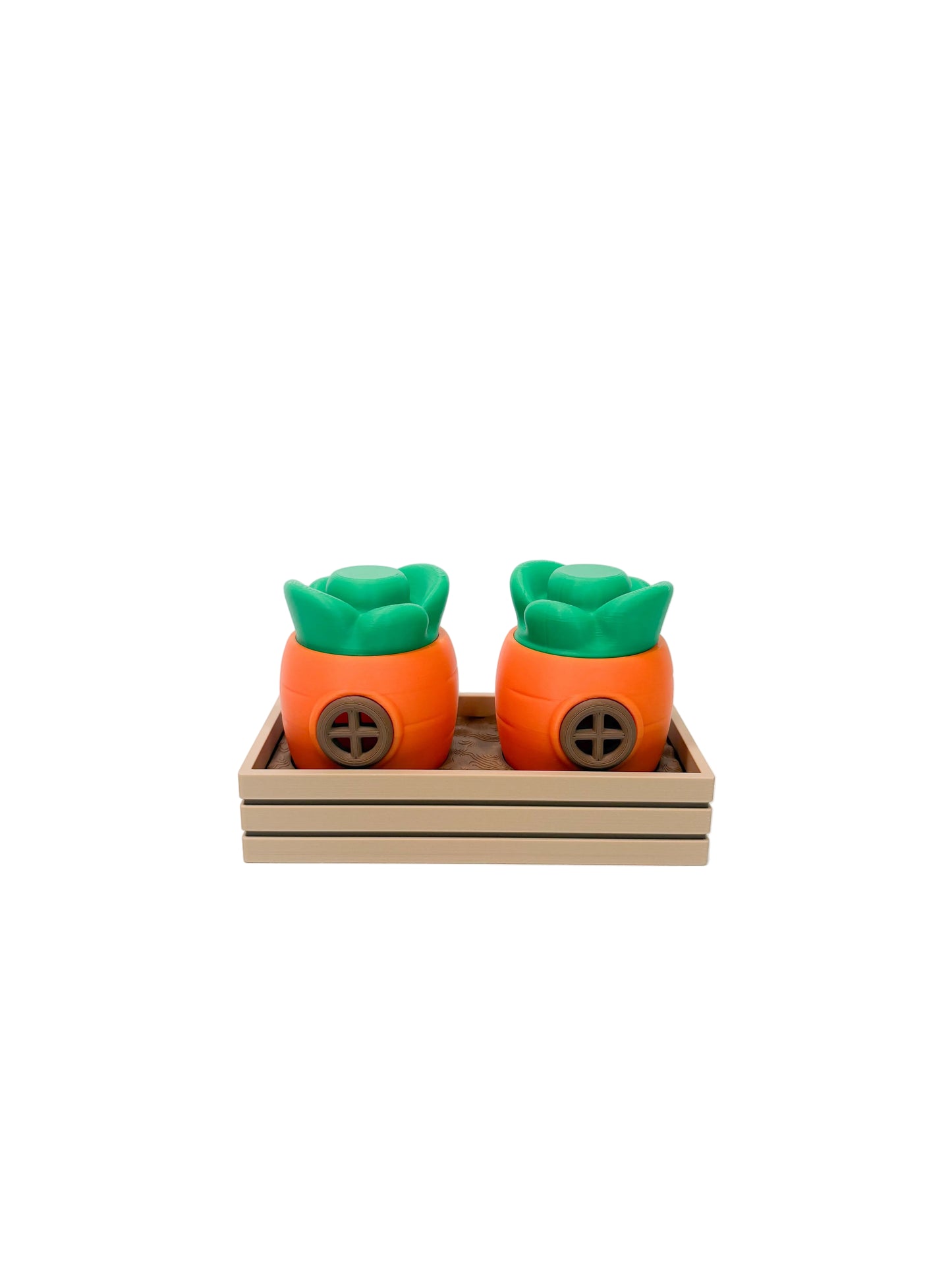 Carrot House Container