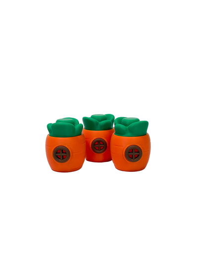 Carrot House Container