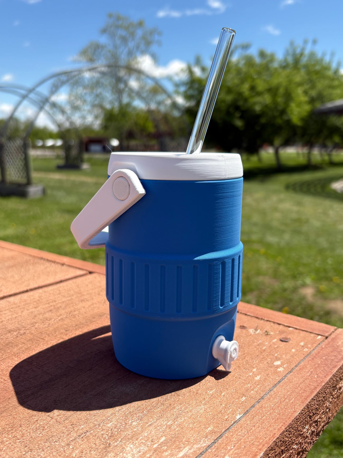 Can Cooler - 12oz Standard or Skinny